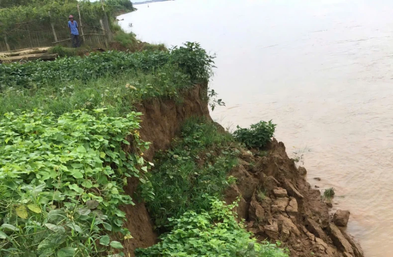 Vĩnh Phúc: Bờ sông Lô sạt lở 700m, uy hiếp tính mạng người dân ảnh 4