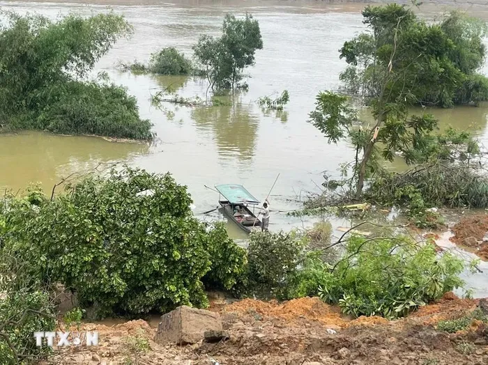  Khu vực K00+700 đê tả Lô thuộc địa phận thôn Hồng Đường, xã Bạch Lưu (Sông Lô, Vĩnh Phúc) xảy ra sạt lở lớn, chiều dài dọc theo bờ sông trên 100m. (Ảnh: Hoàng Hùng/TTXVN) 