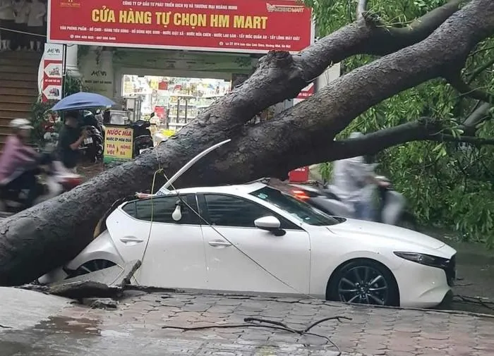  Sau trận mưa dông vào chiều 6/9 tại Thành phố Hà Nội, có phương tiện ô tô bị cây đổ đè trúng. Trong hình, một chiếc ô tô ở khu vực Linh Đàm (Hoàng Mai) bị cây lớn đè trúng. (Ảnh: TP) 