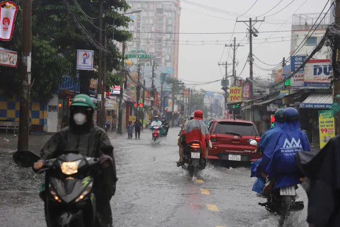 Tại quận Gò Vấp, nhiều tuyến đường khác như Phạm Văn Chiêu, Lê Đức Thọ, Lê Văn Thọ... cũng xảy ra tình trạng ngập do mưa lớn kéo dài, nước thoát không kịp. 