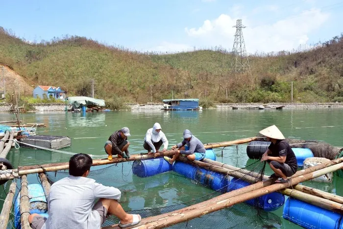  Ngư dân đan lại lưới, sửa bè để chờ có con giống thả lại. (Ảnh: Thanh Vân/TTXVN) 