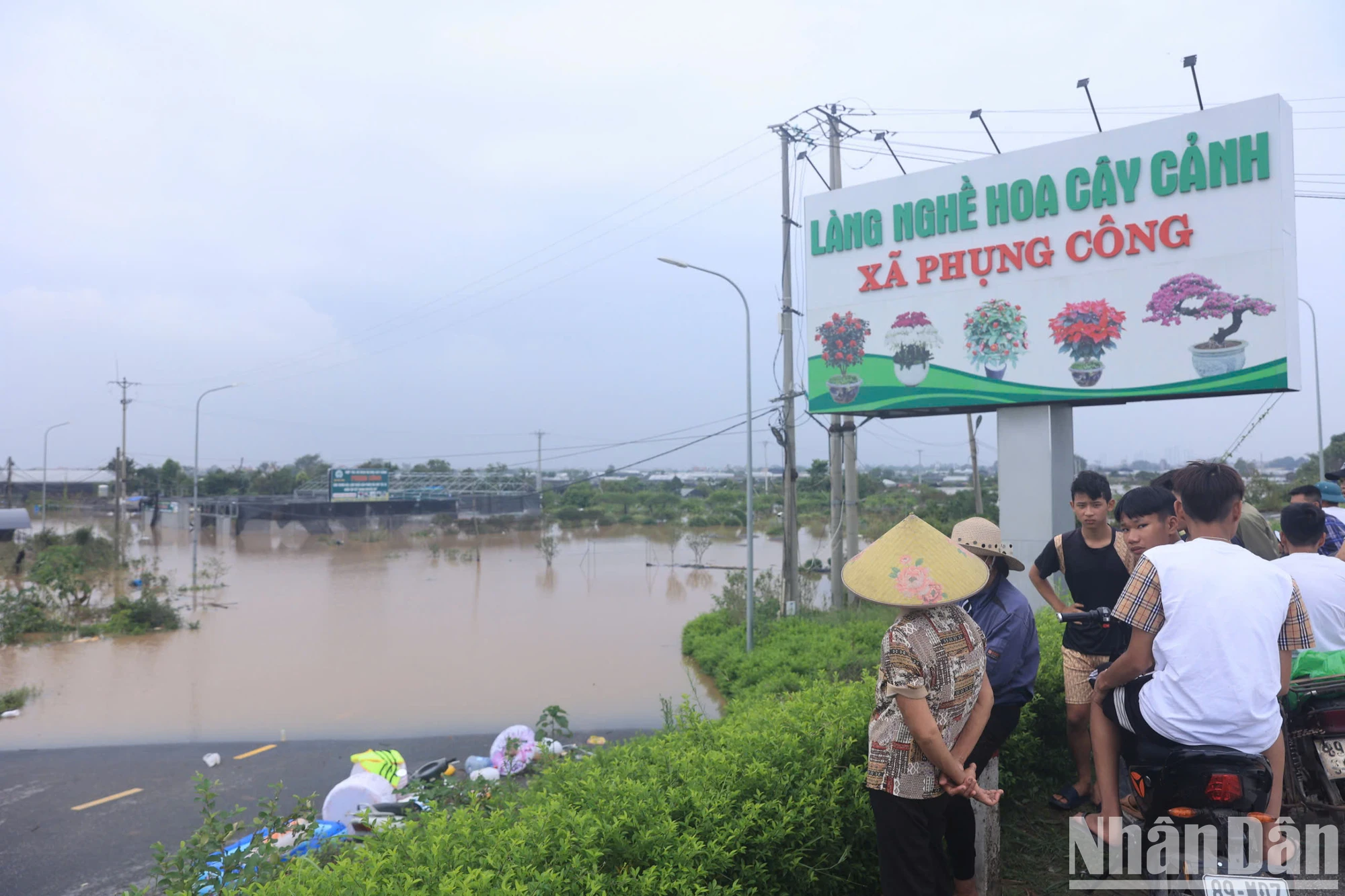 [Ảnh] Vùng trồng hoa lớn nhất Hưng Yên chìm trong biển nước ảnh 11