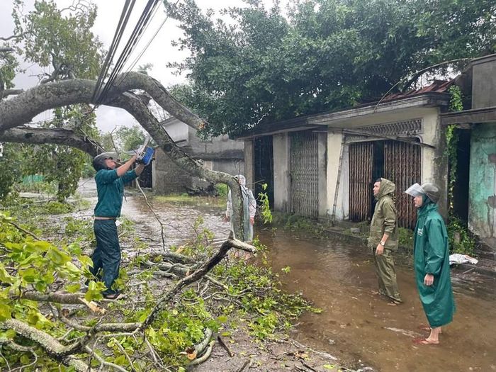 Lực lượng chức năng xử lý cây xanh ngã đổ.