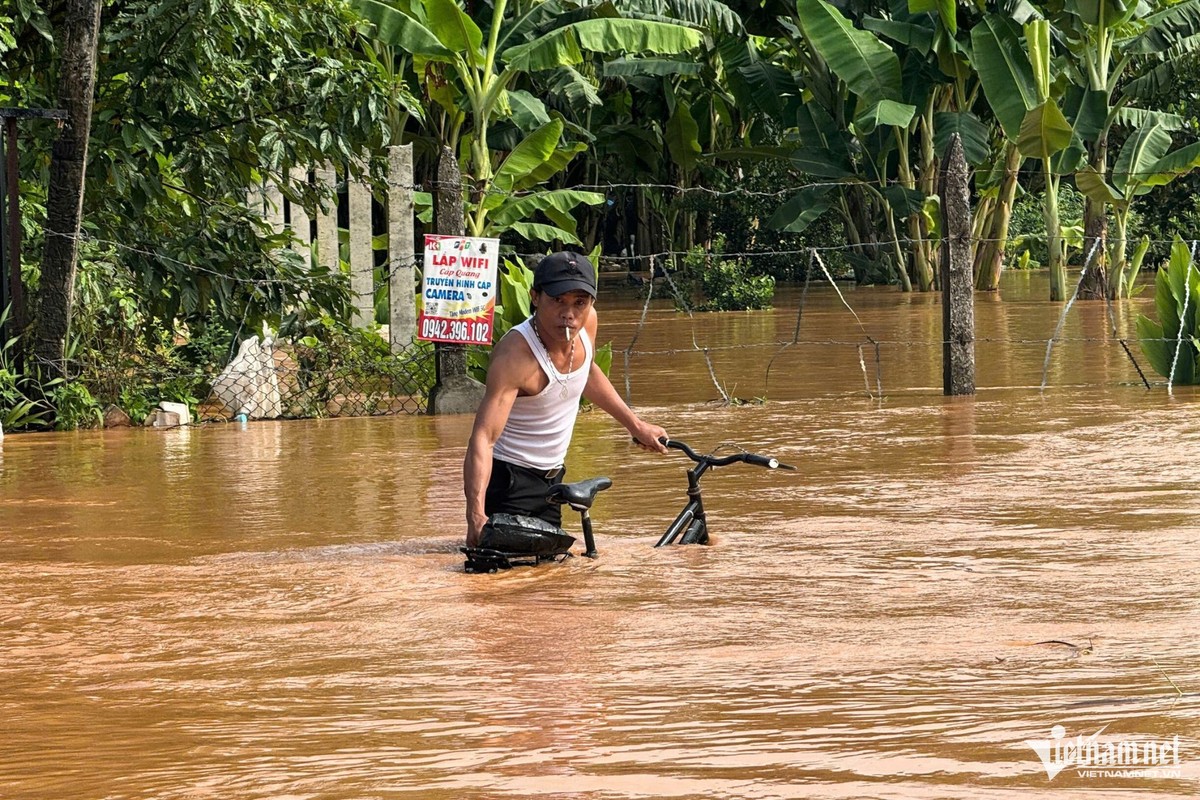 2 cha con bị điện giật, hàng trăm hộ dân ở Đồng Nai chìm trong biển nước ảnh 8