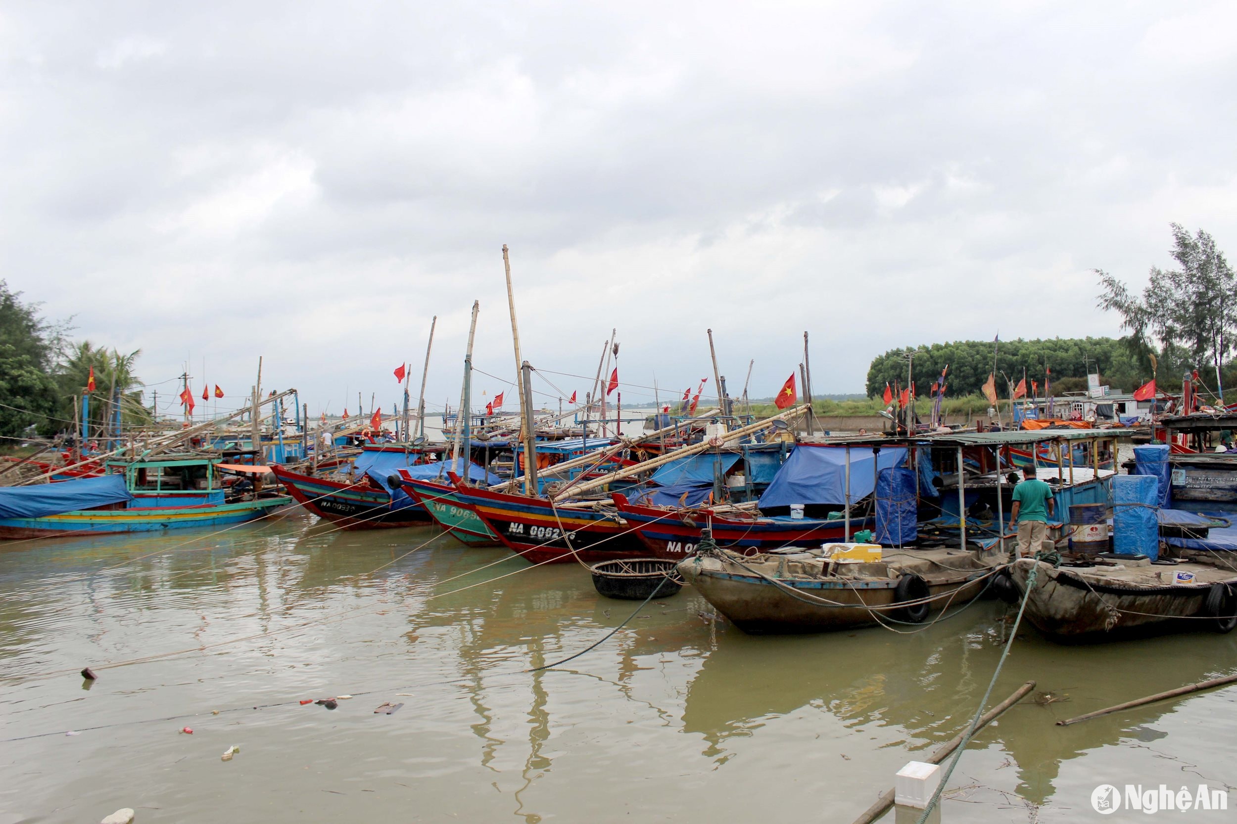 Tàu thuyền tại Nghệ An neo đậu an toàn tránh bão và áp thấp nhiệt đới. Ảnh: Quang An